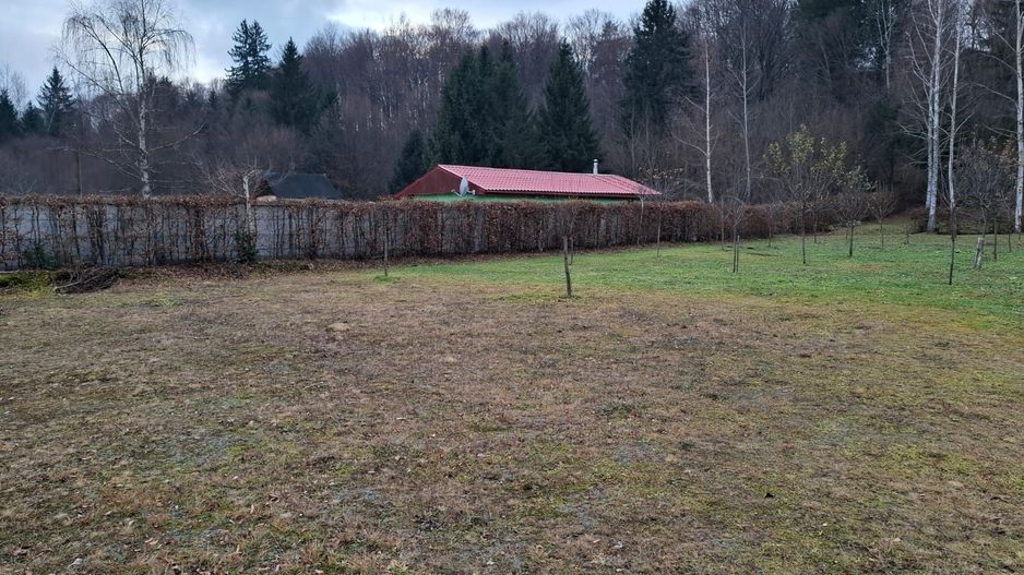 Teren deosebit pozitionat, cu livada, langa padure,  pe Valea Avrigului - Poză 6
