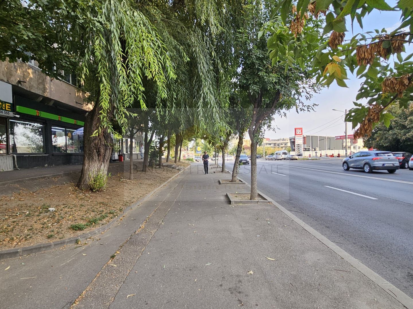 Spațiu comercial 140 mp | Craiovița Nouă – George Enescu - Poză 5