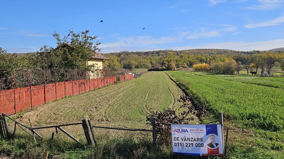 Teren de vânzare - 4000 mp stradal, DN73 Pitești - Câmpulung - Poză 3
