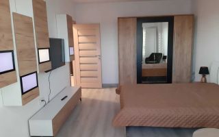 Apartament 1 camera Pacurari - Soleia - 350 euro - Poză 1