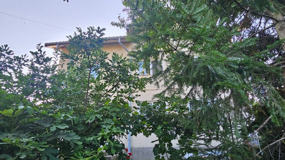 Casă / Vilă cu 8 camere de vânzare în Lapus, Craiova - Poză 4