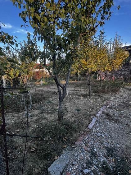 Casa de vanare - Poză 4