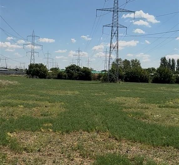 Vanzare teren intravilan 5000 mp Drumul Lunca Cetatii - Splaiul Unirii - Poză 2