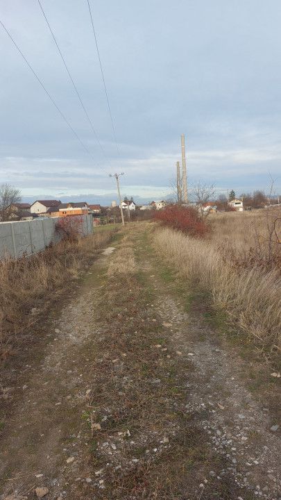 Oferta Teren Bradu - Poză 2