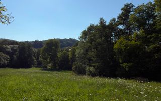 Teren Parau | Valea Danului, Curtea de Arges | Vidraru | - Poză 4