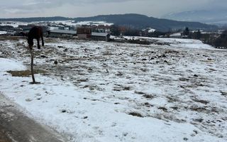 Teren 8.600 mp | Vedere panoramică| Bungard - Poză 8