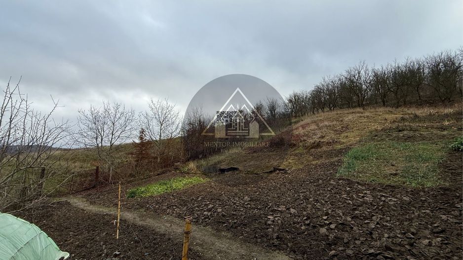 Casa 3 camere, Medias - Poză 18