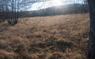 Teren extravilan | Vicovu de Jos | Preț 33.000 | Negociabil - Poză 3