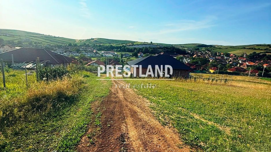 Teren intavilan cu PUZ pentru construcție Rezidentiala !! - Poză 2