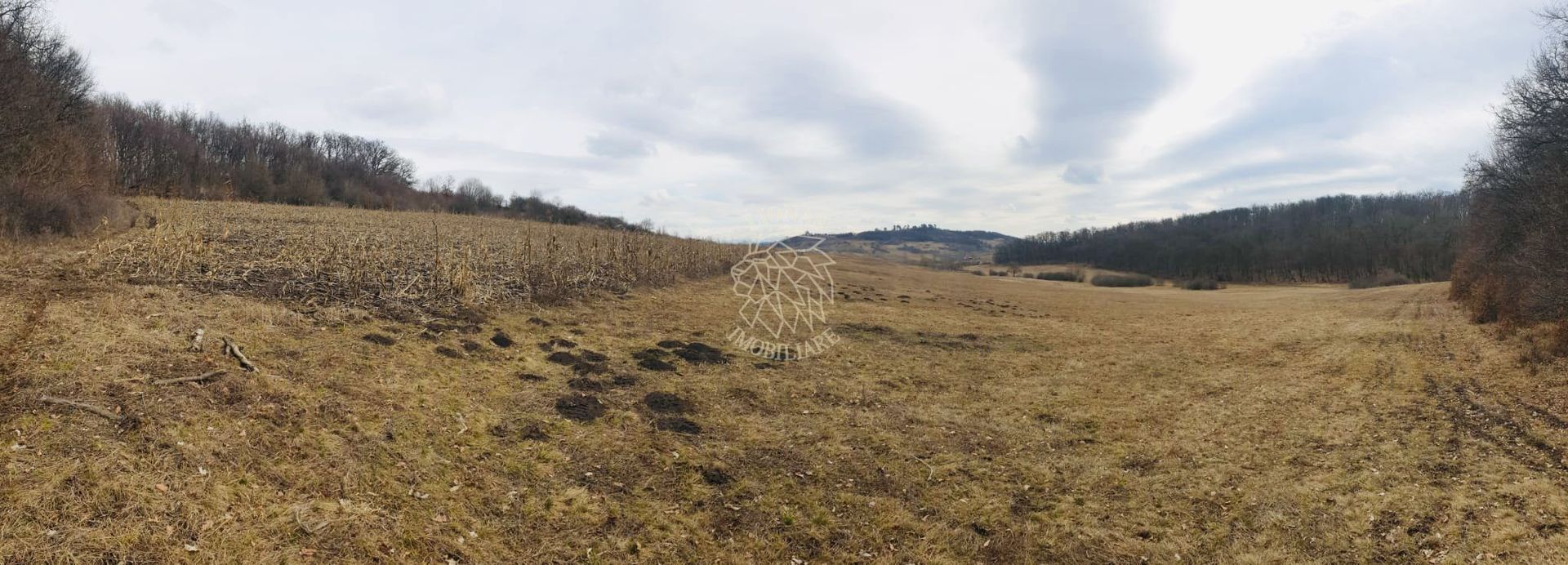 Teren 104,731 mp-Parcelabil-Vedere panoramica-Valea Castailor - Poză 5