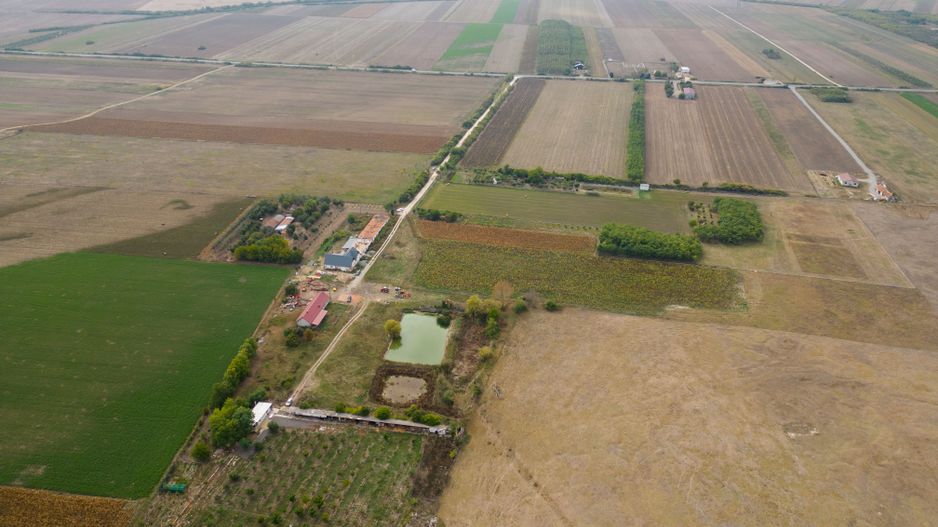Casă cu teren 13 418 mp intravilan - Poză 8