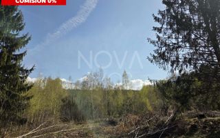 Teren intravilan de vanzare - Vistisoara - Poză 1