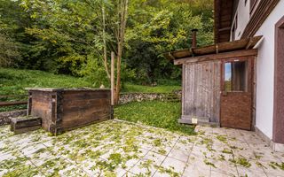 Domeniu în satul Căprioara - Poză 8