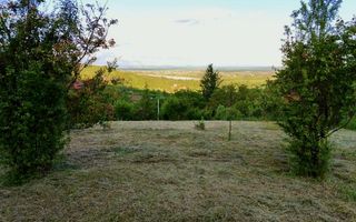 Teren Intravilan Podgoria - Poză 2