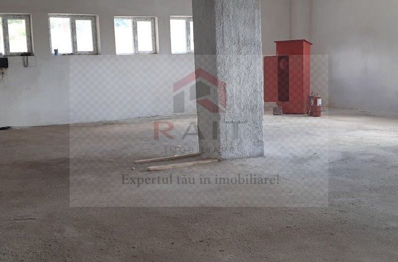 Hala de Inchiriat Godeni Arges - Poză 18