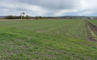 Teren extravilan | Horodnic de Sus – zona Osoi | 50 de Ari - Poză 5