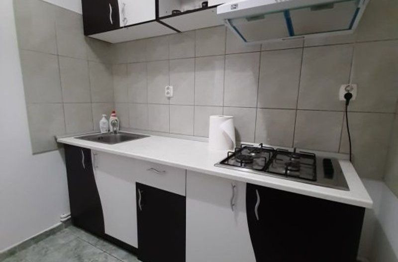 Apartament cu o camera, zona centrala - Parcul Eminescu - Poză 1