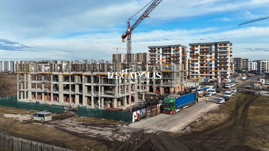 ROKMAN Tiberiu Eremia 12 - Poză 14