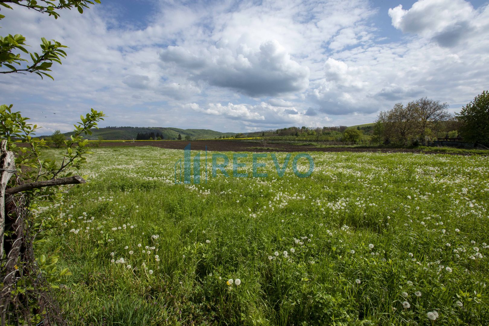 Teren intravilan Blăgești, Bacău - Poză 9