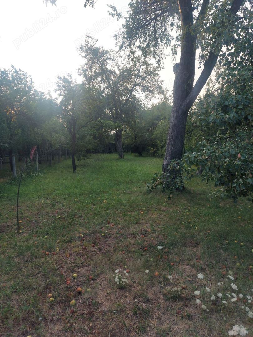 Vanzare casă - Poză 1