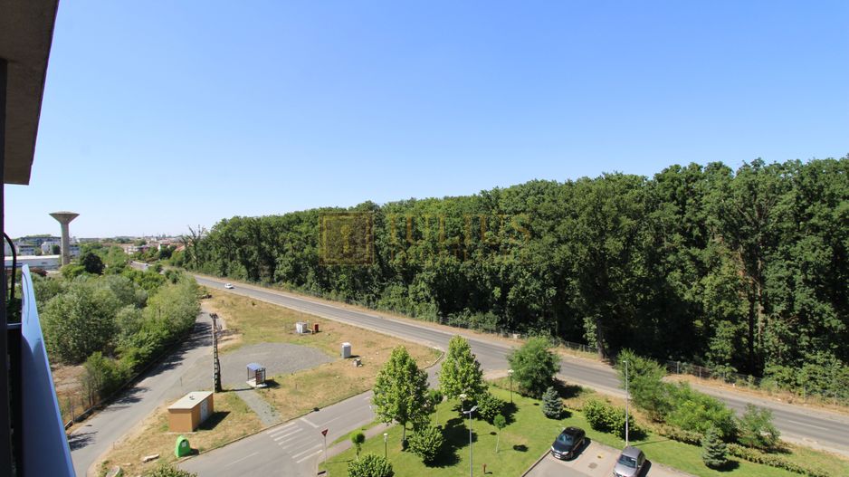 Denya Forest, 2 camere, centrala proprie, loc de parcare - Poză 17