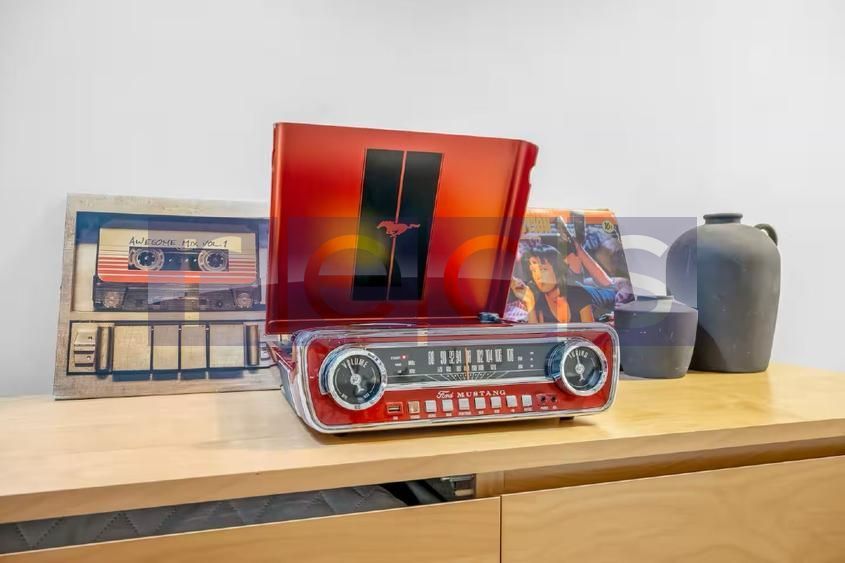 INCHIRIERE 3 CAMERE | VILA | STEFAN CEL MARE - Poză 13