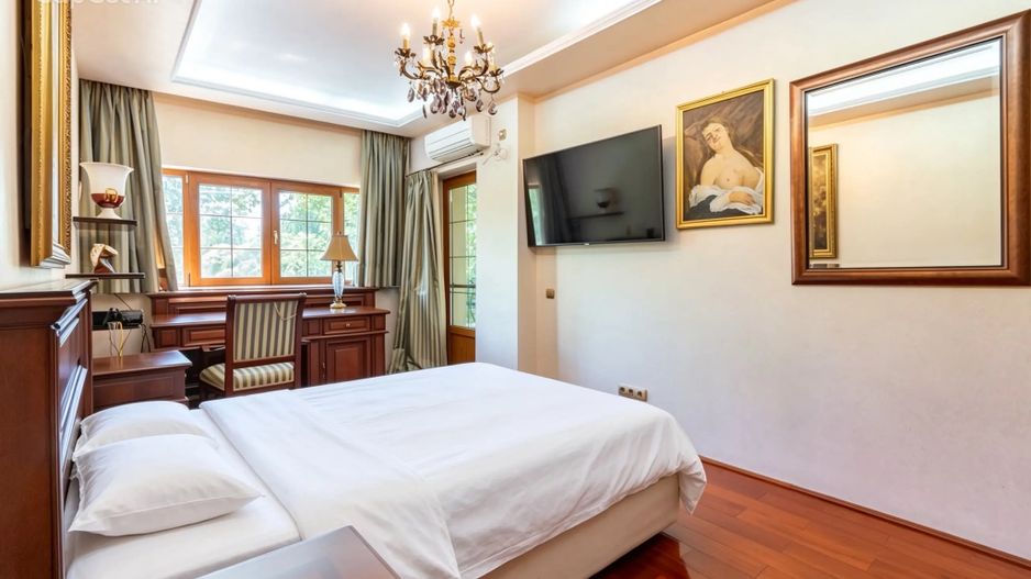 Casa/Vila Premium de vanzare Lacul Snagov / ponton / piscina / barca - Poză 13