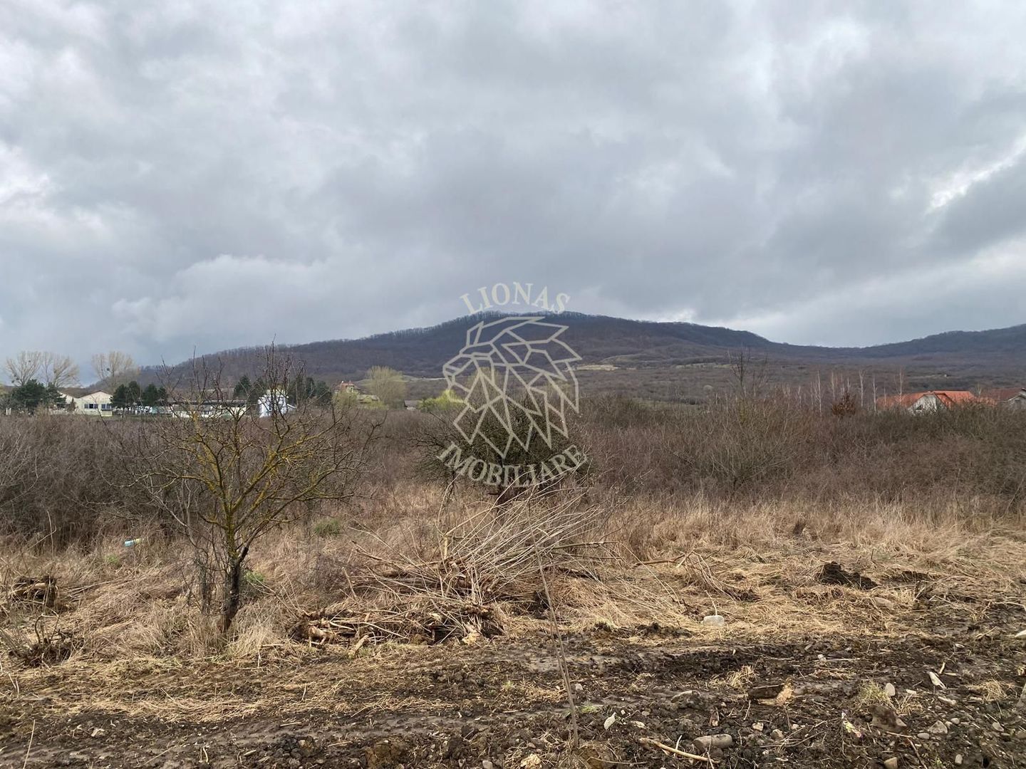 Teren 12,719 mp cu deschidere la DN17-ideal hala/parcare-Crainimat - Poză 1