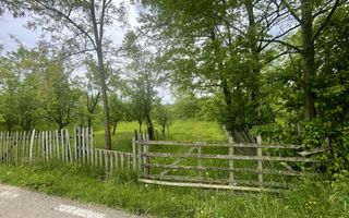 Teren intravilan Sotrile 6762 mp – Investitie, camping, agroturism - Poză 4