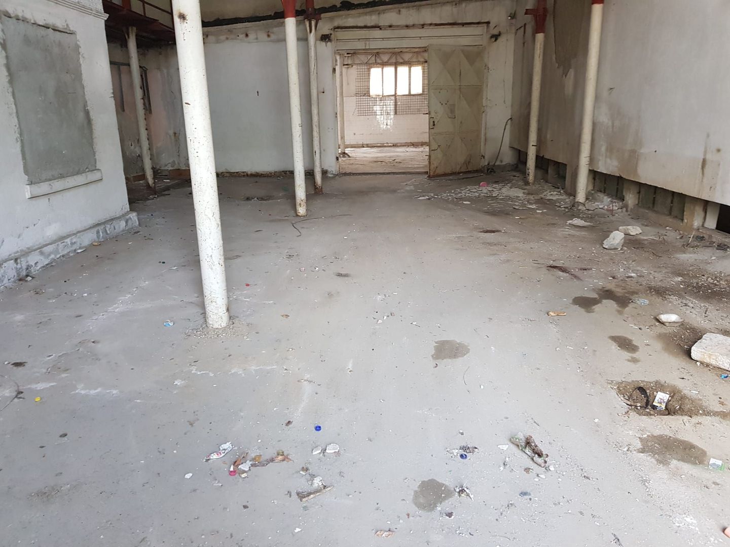 Teren - hala de vanzare | Damaroaia | Bucurestii Noi | Pajura - Poză 8