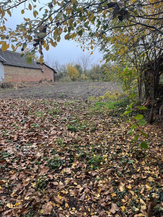 Casa traditionala cu gradina de 2200 mp, Peregu Mic - Poză 8