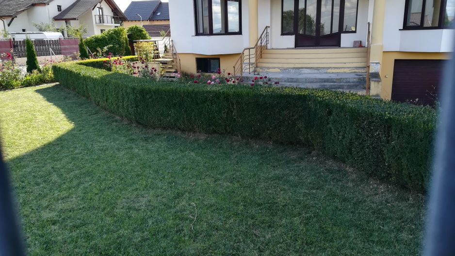 inchirieri Apartamente in casa 2 camere - Poză 3