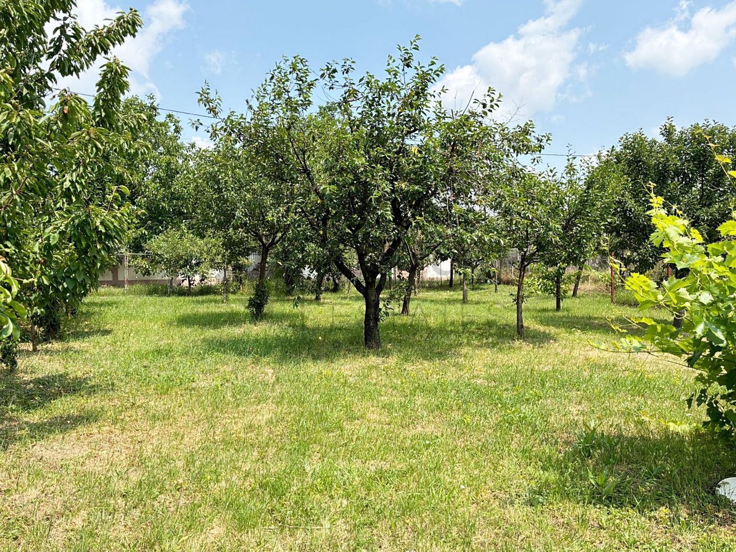 Casa cu teren 1079 mp de vanzare in Apateu, Bihor - Poză 4