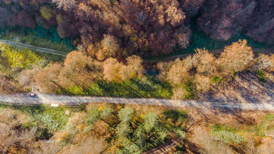 Teren central în Moneasa - Poză 3