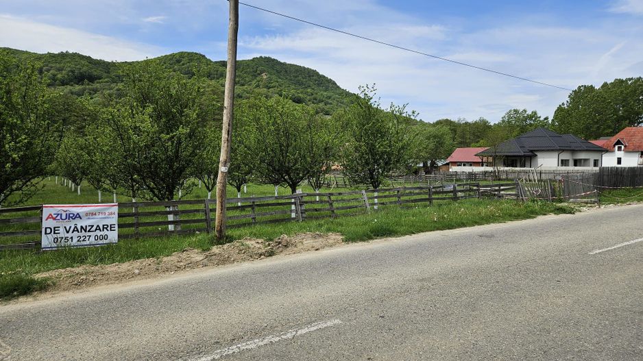 Vanzare teren zona munte, Corbi - Poză 3