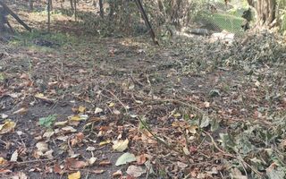 CASĂ DE VÂNZARE 2 CAMERE\ ZĂVOI\ JUD. CARAȘ-SEVERIN - Poză 5