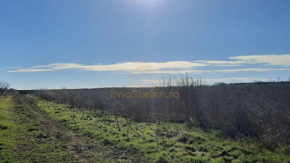 Vama Veche | Teren intravilan pentru investiții imobiliare! - Poză 2