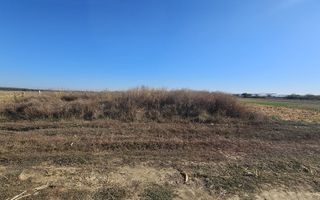 Copăceni - Ilfov - Teren intravilan arabil de vânzare - 1.148 mp - Poză 3