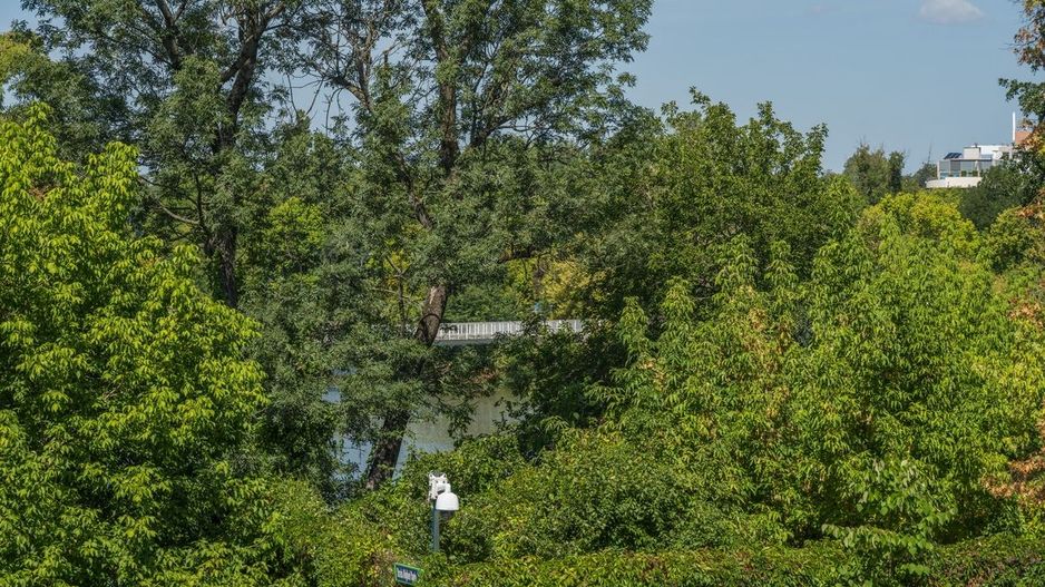 Apartament spatios | locatie ultraselecta – Primaverii, Bordei - Poză 16