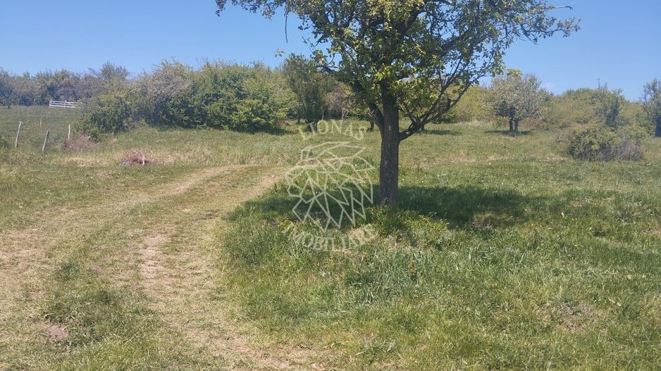 Teren 4400 mp -Parcelabil - panoramic - Sarata - Poză 1