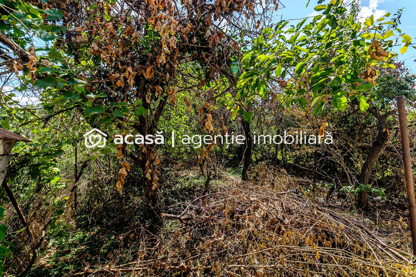 REPOZIȚIONARE PREȚ! Casă pe strada Dorobanți, Pârneava. - Poză 12