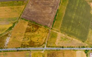 Teren de 19798mp în Zimandu Nou - Poză 8