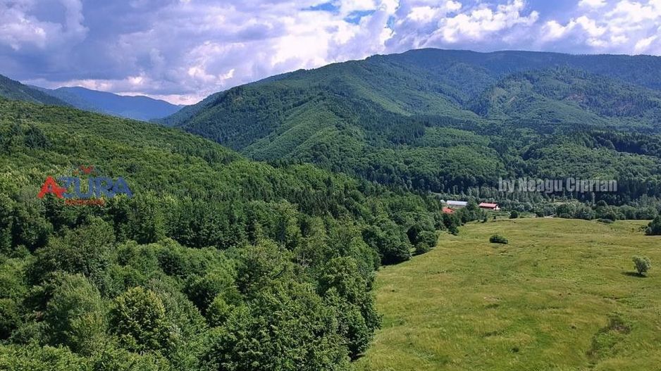 AZURA Imobiliare Pitesti - Casă de vacanță, Nucșoara! - Poză 16