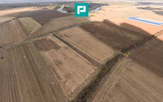 Teren 15.000 mp, Zădăreni, zona Lagermax - Poză 6