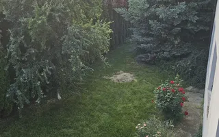 Vila 8 camere Dascalu - Poză 17