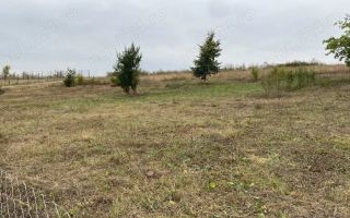 Vând teren extravilan (2026 intravilan) 2500 mp parcelabil zona hlincea lunca cetatuii - Poză 1