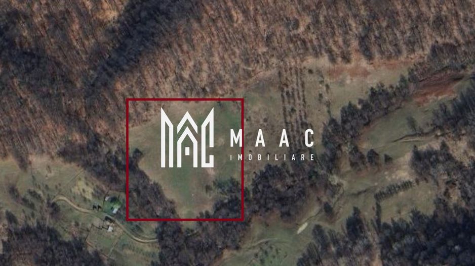 Teren Extravilan 20.000Mp I Stoenești -Vâlcea I Apă Curentă și Pădure - Poză 16