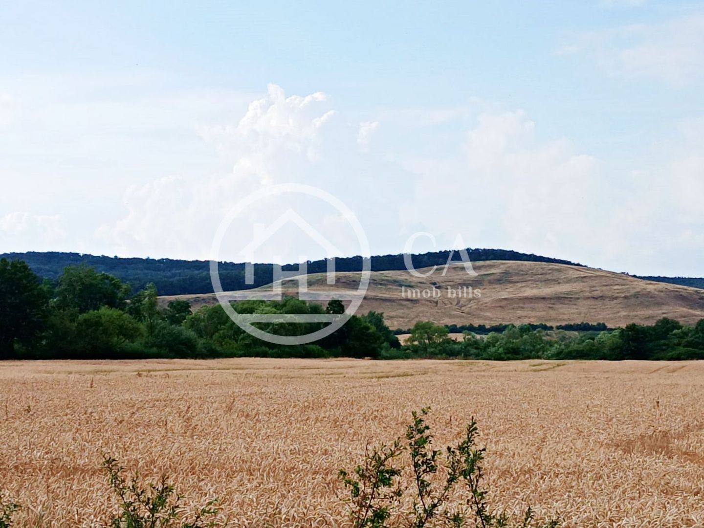 Teren intravilan de vanzare in Fughiu, Bihor - Poză 2