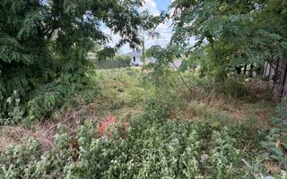Teren intravilan 550mp de vanzare in Paleu - Poză 6