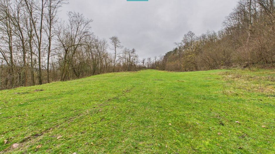 Casă cu teren de 24.679,73 mp, în Hălmagiu, Arad - Poză 19